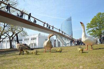 Aménagements urbains – Liège-Belgique -quais de Meuse et passerelle sur la Meuse– Moe : Greisch mandataire – Corajoud-Salliot-Taborda-FRYS-Transitec – Moa : SPW - 2010-2016